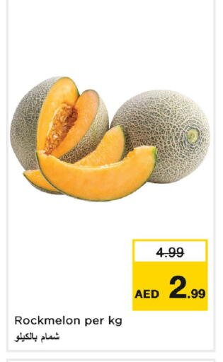 شمام available at لاست تشانس in الإمارات العربية المتحدة , الامارات - ٱلْفُجَيْرَة‎