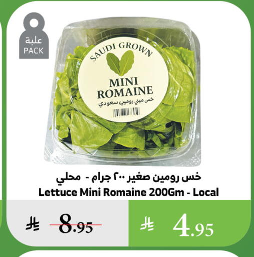 Fresh Vegetables in Al Raya, Saudi Arabia Offers - Saudi Arabia Lettuce from Saudi Arabia available at Al Raya in KSA, Saudi Arabia, Saudi - Medina