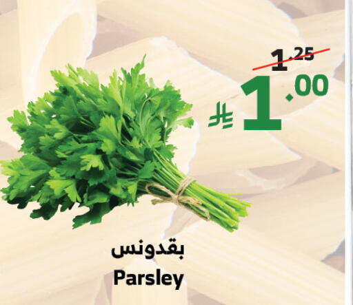 Fresh Vegetables in Al Raya, Saudi Arabia Offers - Saudi Arabia Parsley available at Al Raya in KSA, Saudi Arabia, Saudi - Khamis Mushait