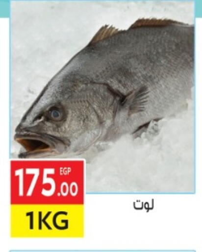 available at المحلاوي ماركت in Egypt - القاهرة