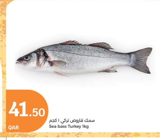 available at City Hypermarket in Qatar - Al Wakra