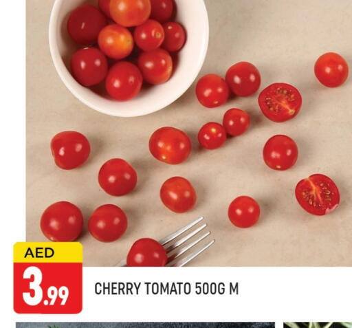 Tomato available at AL MADINA (Dubai) in UAE - Dubai
