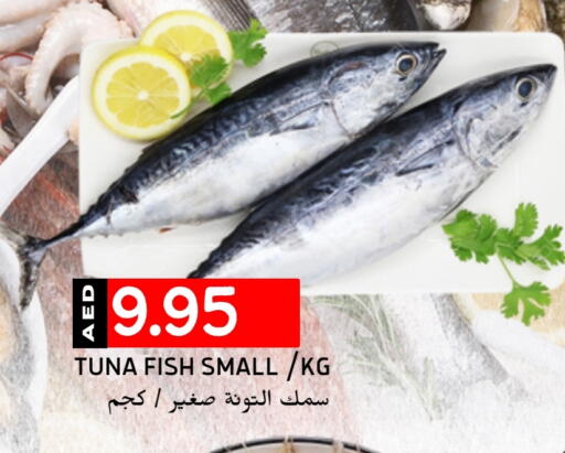 Tuna available at Select Market in UAE - Abu Dhabi