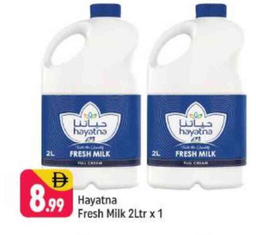 HAYATNA Fresh Milk available at Shaklan  in UAE - Dubai