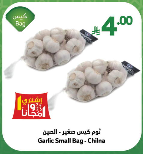 Fresh Vegetables in Al Raya, Saudi Arabia Offers - Saudi Arabia Garlic available at Al Raya in KSA, Saudi Arabia, Saudi - Khamis Mushait