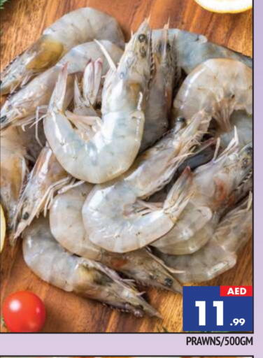 available at المدينة in الإمارات العربية المتحدة , الامارات - الشارقة / عجمان