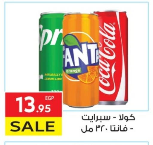 Orange available at El Mahallawy Market  in Egypt - Cairo