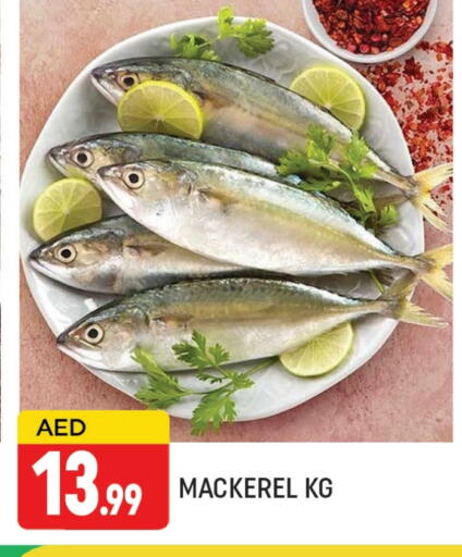 available at AL MADINA (Dubai) in UAE - Dubai