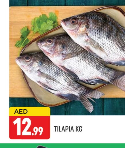 available at AL MADINA (Dubai) in UAE - Dubai