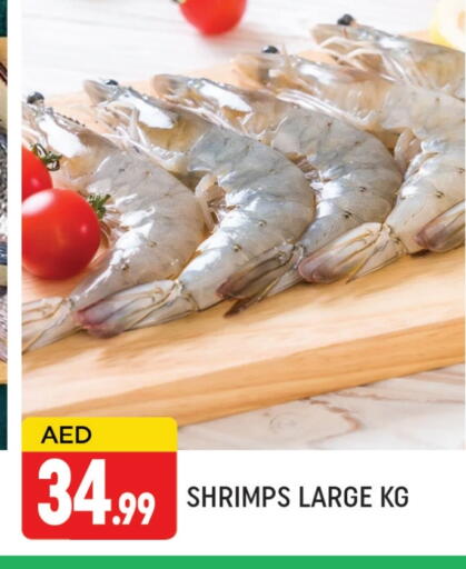 available at AL MADINA (Dubai) in UAE - Dubai