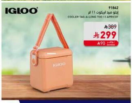 Apricot available at SACO in KSA, Saudi Arabia, Saudi - Buraidah
