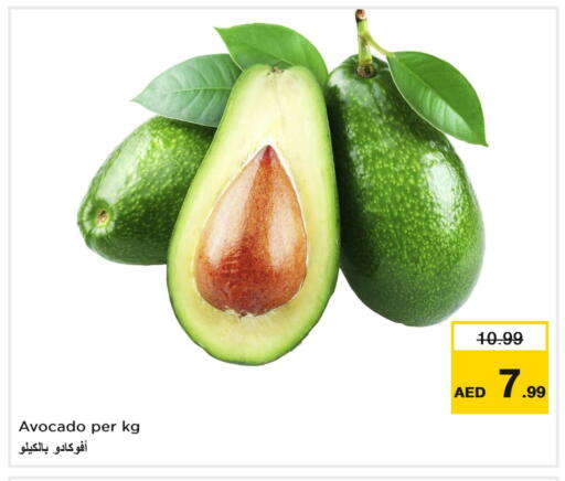 Avocado available at نستو هايبرماركت in الإمارات العربية المتحدة , الامارات - الشارقة / عجمان