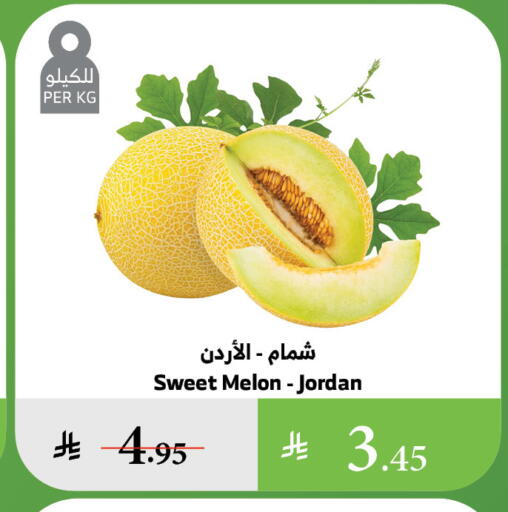 Sweet melon from Jordan available at Al Raya in KSA, Saudi Arabia, Saudi - Bishah