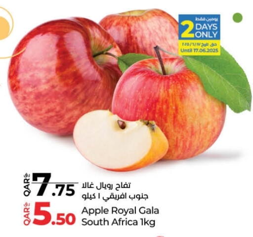 تفاح from South Africa available at لولو هايبرماركت in قطر - الشمال
