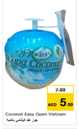 Coconut from Vietnam available at لاست تشانس in الإمارات العربية المتحدة , الامارات - ٱلْفُجَيْرَة‎