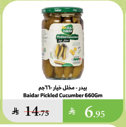 Canned & Packeted in Al Raya, Saudi Arabia Offers - Saudi Arabia Cucumber available at Al Raya in KSA, Saudi Arabia, Saudi - Khamis Mushait