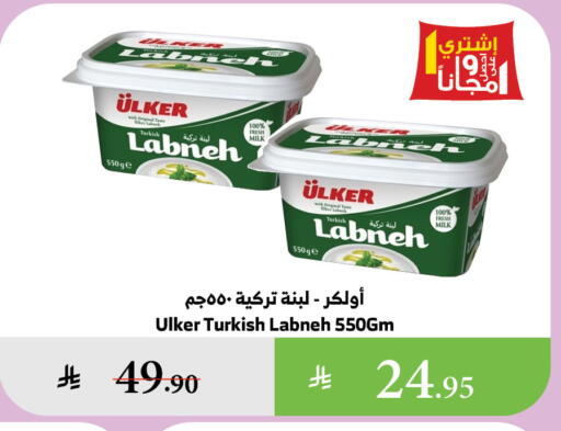 Labneh available at Al Raya in KSA, Saudi Arabia, Saudi - Medina