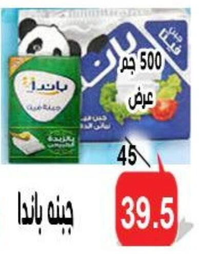 PANDA available at Aldoneia Bkheir ismailia  in Egypt - Cairo