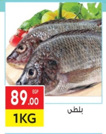 available at المحلاوي ماركت in Egypt - القاهرة