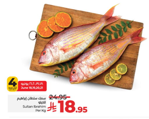 available at LULU Hypermarket in KSA, Saudi Arabia, Saudi - Khamis Mushait
