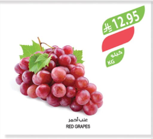 Grapes available at Farm  in KSA, Saudi Arabia, Saudi - Abha