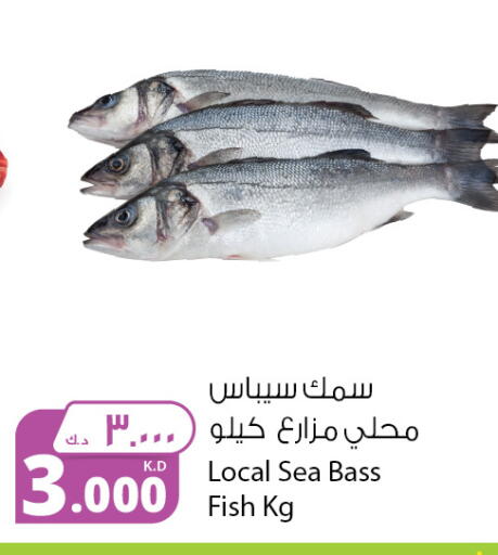 available at Agricultural Food Products Co. in Kuwait - Ahmadi Governorate
