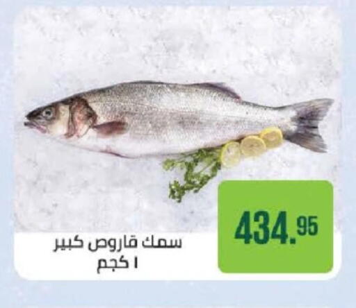 available at Seoudi Supermarket in Egypt - Cairo
