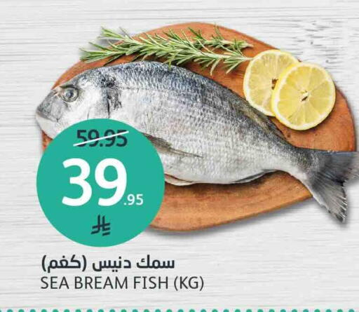 available at AlJazera Shopping Center in KSA, Saudi Arabia, Saudi - Riyadh