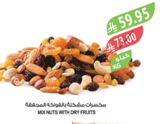 available at Farm  in KSA, Saudi Arabia, Saudi - Tabuk