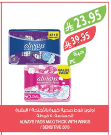 ALWAYS available at Farm  in KSA, Saudi Arabia, Saudi - Jazan