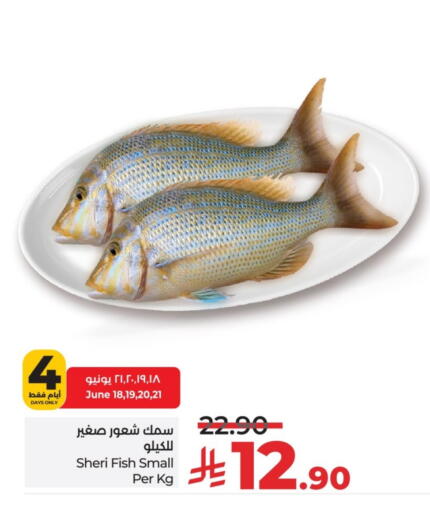 available at LULU Hypermarket in KSA, Saudi Arabia, Saudi - Unayzah