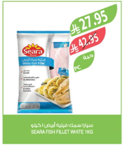 SEARA available at Farm  in KSA, Saudi Arabia, Saudi - Khafji