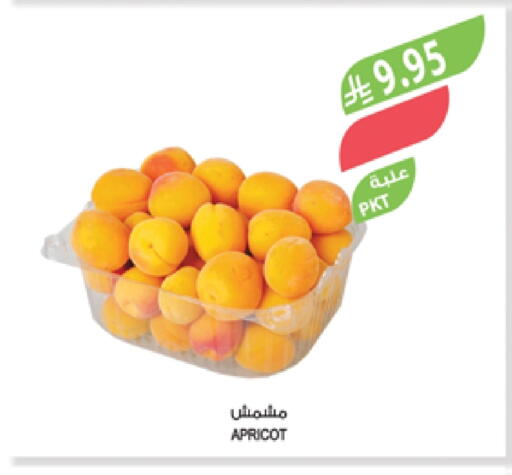 Apricot available at Farm  in KSA, Saudi Arabia, Saudi - Najran