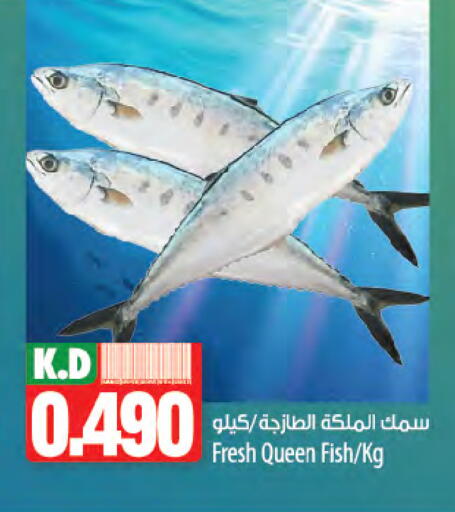 Mango available at Mango Hypermarket  in Kuwait - Ahmadi Governorate