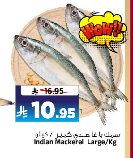 الأسماك الطازجة in المدينة هايبرماركت, المملكة العربية السعودية Offers - المملكة العربية السعودية available at المدينة هايبرماركت in مملكة العربية السعودية, السعودية, سعودية - الرياض