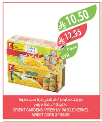 FRESHLY available at Farm  in KSA, Saudi Arabia, Saudi - Al Bahah