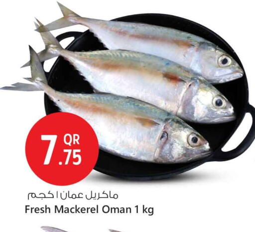 Fresh Fish in Safari Hypermarket, Qatar Offers - Qatar available at Safari Hypermarket in Qatar - Al-Shahaniya