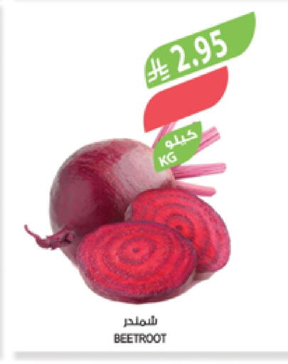Beetroot available at Farm  in KSA, Saudi Arabia, Saudi - Khafji
