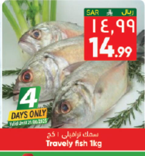 available at City Flower in KSA, Saudi Arabia, Saudi - Hail