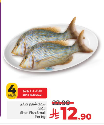 available at LULU Hypermarket in KSA, Saudi Arabia, Saudi - Unayzah