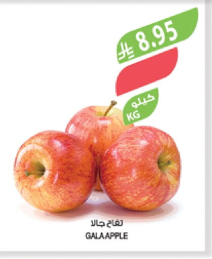 Apples available at Farm  in KSA, Saudi Arabia, Saudi - Khafji