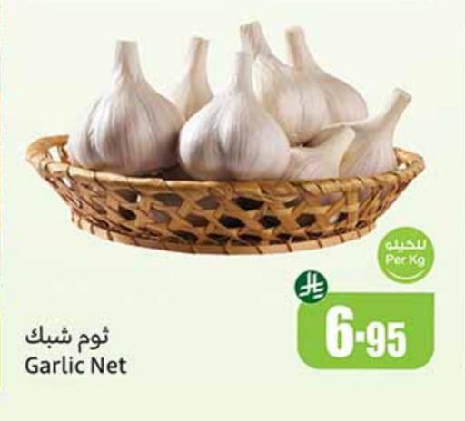 Garlic available at Othaim Markets in KSA, Saudi Arabia, Saudi - Rafha