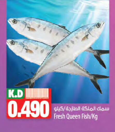 Mango available at Mango Hypermarket  in Kuwait - Ahmadi Governorate