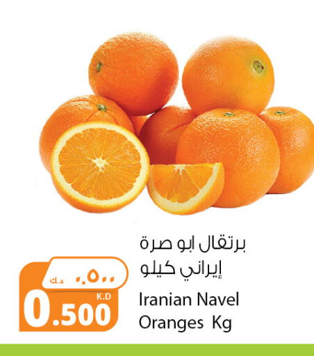 Orange from Iran available at Agricultural Food Products Co. in Kuwait - Ahmadi Governorate