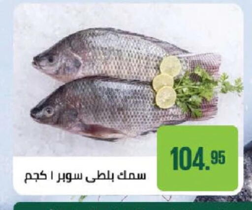 available at Seoudi Supermarket in Egypt - Cairo