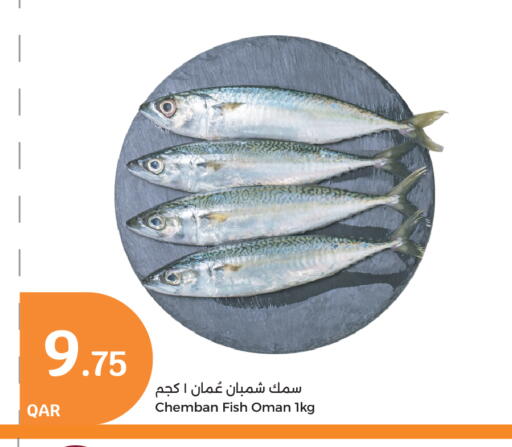 available at City Hypermarket in Qatar - Al Rayyan