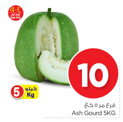 Fresh Vegetables in Nesto, Saudi Arabia Offers - Saudi Arabia Gourd available at Nesto in KSA, Saudi Arabia, Saudi - Al Hasa