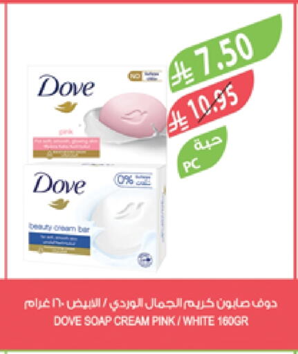 DOVE available at Farm  in KSA, Saudi Arabia, Saudi - Al Bahah