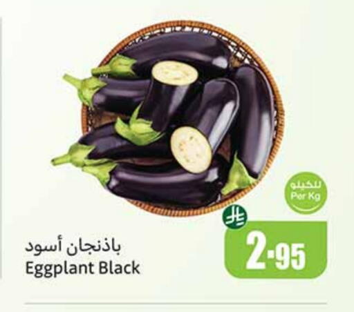 Eggplant available at Othaim Markets in KSA, Saudi Arabia, Saudi - Rafha
