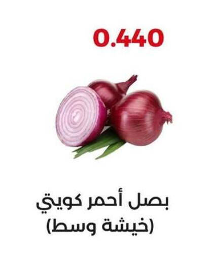 Onion available at  Adailiya Cooperative Society in Kuwait - Ahmadi Governorate